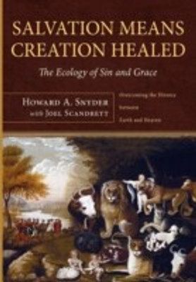 Salvation Means Creation Healed(English, Paperback, Snyder Howard A. A.)