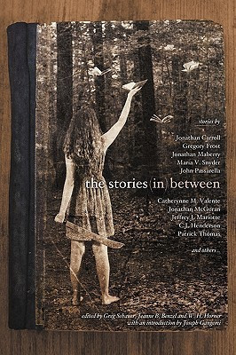 The Stories in Between(English, Paperback, unknown)