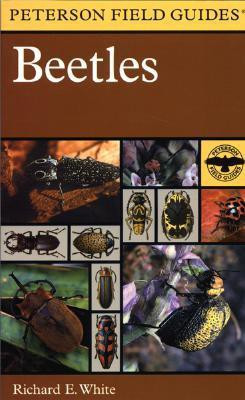 Field Guide to the Beetles(English, Paperback, Peterson)