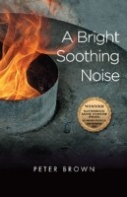 A Bright Soothing Noise(English, Paperback, Brown Peter)