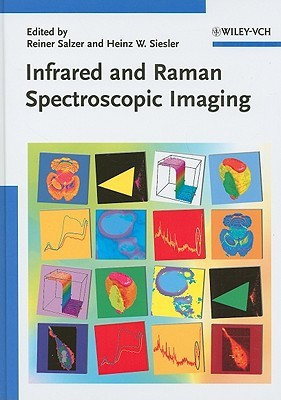 Infrared and Raman Spectroscopic Imaging(English, Hardcover, Salzer R)