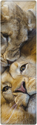 

That Company Called If African Lions 3D Bookmark(National Geographic, Multicolor)