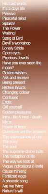 

Poet's Choice PCB60 Paperback Bookmark(Unique, Multicolor)