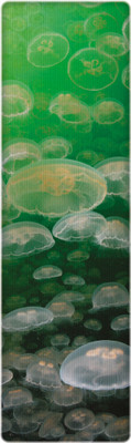 

That Company Called IF National Geographic - Moon Jellyfish 3D Bookmark(National Geographic, Multicolor)