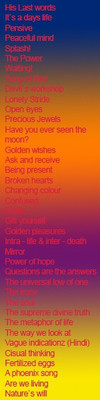 

Poet's Choice PCB59 Paperback Bookmark(Unique, Multicolor)