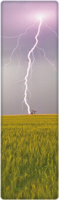 

That Company Called IF National Geographic - Lightning Bolt 3D Bookmark(National Geographic, Multicolor)