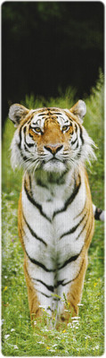 

That Company Called IF National Geographic - Siberian Tiger 3D Bookmark(National Geographic, Multicolor)