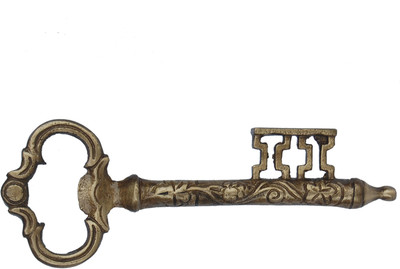 

Aakrati AA2026AL Bottle Opener(Pack of 1)
