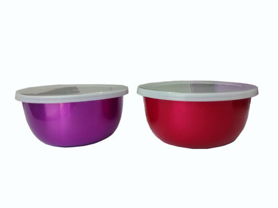 

Fiable Stainless Steel Bowl Set(Multicolor, Pack of 2)