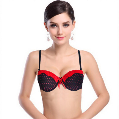 

PrivateLifes Polka Lace Women's T-Shirt Lightly Padded Bra(Black, Red