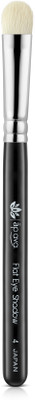 

Aplava APLAVA PRO Flat Eye shadow Brush(Pack of 1)