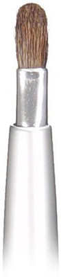 

Cinema Secrets Retractable Lip Brush(Pack of 1)