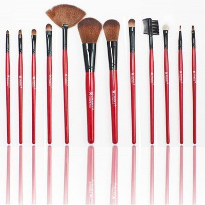 

Shany Professional Cosmetic Brush Set(Pack of 13)