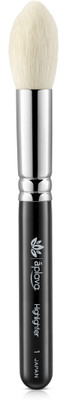 

Aplava PRO Tapered Highlighter Brush(Pack of 1)