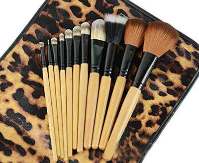 

Dr Dry DRQ Pro Makeup Brushes Set Powder Foundation Eyeshadow Eyeliner Lip Brush Tool & Leopard Bag(Pack of 12)