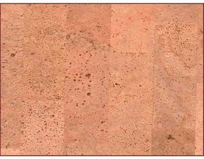 

Corkcraft Cork Bulletin Board(Brown 5 cm x 7 cm)