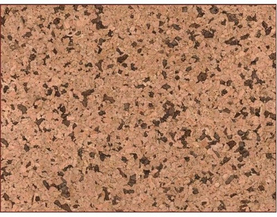 

Corkcraft Cork Bulletin Board(Multicolor 5 cm x 7 cm)