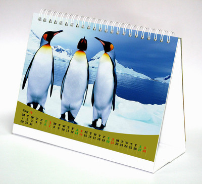 

Thomson Press TC033 2016-2017 Table Calendar(Multicolor, fish)