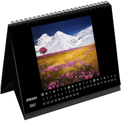 

Clixicle Clixicle Monthly Desk Calendar, 8in x 10in 2016 Table Calendar(White, Multi, Cityscapes, Landscapes)