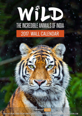 

Tallenge Wild - The Incredible Animals Of India 2017 Wall Calendar(Multicolor, The Incredible Animals Of India)