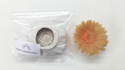 

Niral Industries Mirror Polished Silicone Candle Moulds