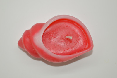 

Niral Industries Mirror Polished Silicone Candle Moulds