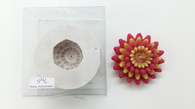 

Niral Industries Mirror Polished Silicone Candle Moulds