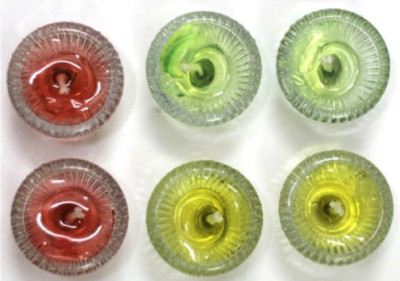 

Madhulica Candles MADHULICA GEL BOWL CANDLES PACK OF 6 Candle(Multicolor, Pack of 6)