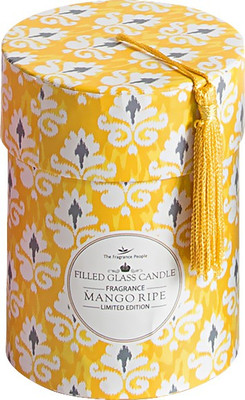 

The Fragrance People CBD BOX Candle(White, Pack of 1)
