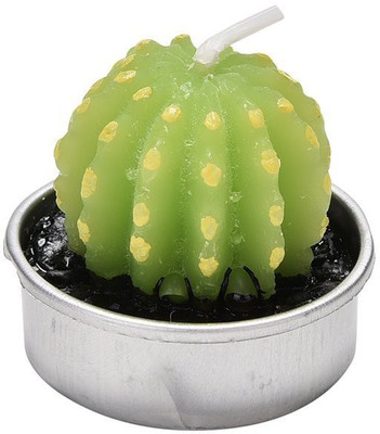 

Futaba Mini Cactus Tea Light-B Candle(Green, Silver, Pack of 1)
