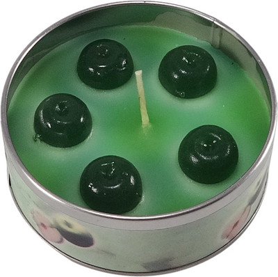 

Indian Ocean Green Apple scented metal box Candle(Multicolor, Pack of 1)