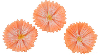 

IYANA FLOATING ORANGE Candle(Orange, Pack of 3)