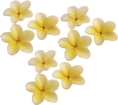 

PeepalComm Jasmine Float Candle(Multicolor, Pack of 9)