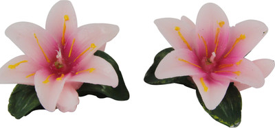 

IYANA FLOATING PINK Candle(Pink, Pack of 2)