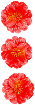 

The Candle Shop Peach Hybiscus Candle(Pink, Pack of 3)