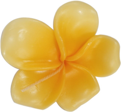 

Linco Flower Shaped Candle(Yellow, Pack of 1)