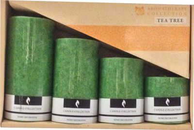

Antwortz Traders Aromatic Candles Candle(Green, Pack of 4)
