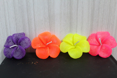 

STARLIGHT CL-020 FLOATING DECORATIVE FLOWER MULTICOLOR PARAFFIN WAX CANDLES PACK OF 08 Candle(Multicolor, Pack of 8)