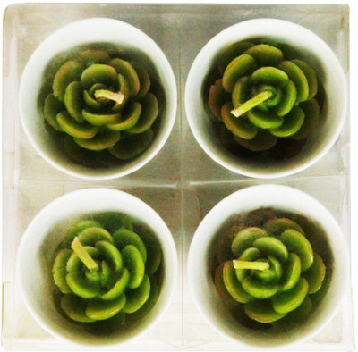 

The Candle Shop Cactus Candle(Green, Pack of 4)