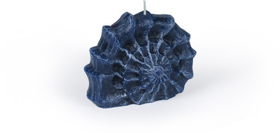 Manulena Nautilus Shell Blue 250g Candle(Blue, Pack of 1) Manulena Nautilus Shell Blue 250g Candle(Blue, Pack of 1)
