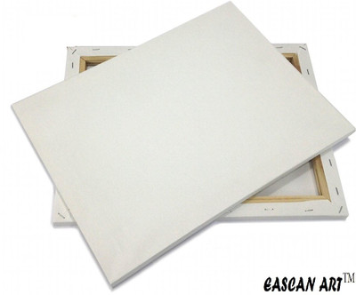 

Eascan Art 24" x 18" Cotton Medium Grain Pre Stretched Canvas (Set of 1)(White)