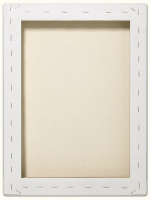 

EASCAN ART 10" x 12" Cotton Medium Grain Pre Stretched Canvas (Set of 1)(White)