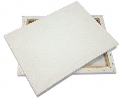 

Eascan Art 12" x 16" Cotton Medium Grain Pre Stretched Canvas (Set of 1)(White)