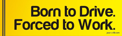 

Speedwav Phrases Sticker for Bumper(Yellow)