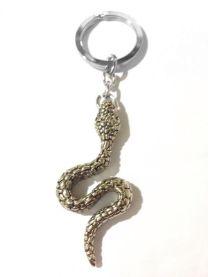 

Tech Fashion Snake Zinc Alloy Locking Key Chain(Silver)