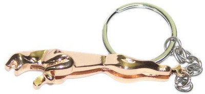 

Aura Jaguqar Imported Locking Key Chain(Silver, Purple)