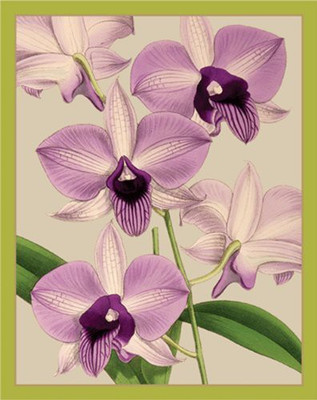 

Entertaining with Caspari bridge tallies lavender orchids(Purple)
