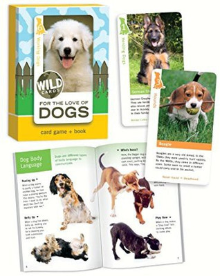 Birdcage Press Dogs And Book(Multicolor)