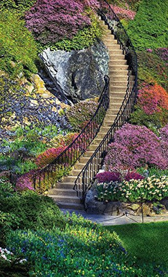

Springbok Garden Stairway Bridge Score Pads Bridge Playingaccessory(Multicolor)