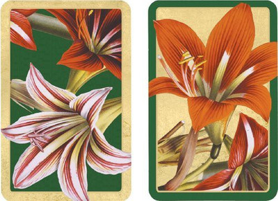 

Entertaining with Caspari Double Deck Of Bridge Playing Samaryllisset Of 2(Multicolor)